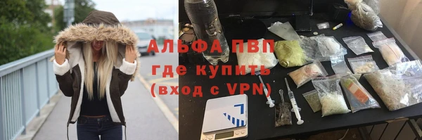 молекула духа Надым