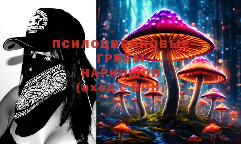 Псилоцибиновые грибы Psilocybine cubensis  ОМГ ОМГ ссылка  Николаевск-на-Амуре  где купить наркоту 